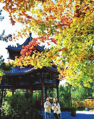 公园美如画 游客惬意游