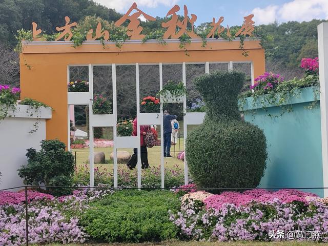 五绝.上方山菊展即景