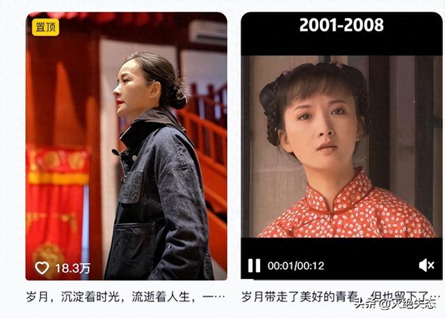 吃里扒外！定居美国13年，回国捞金惨遭“驱逐”，52岁活成了笑话