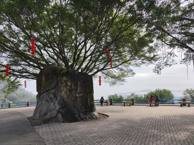 徒步礐石风景区，从焰峰到塔山，在汕头的森林氧吧深呼吸