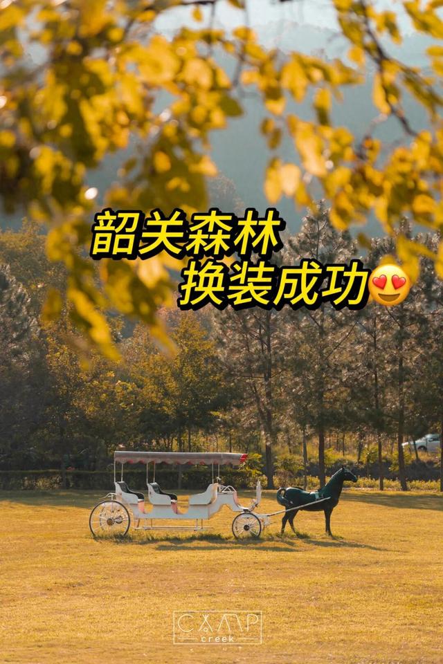 给你个准信！韶关森林红！红！红啦~