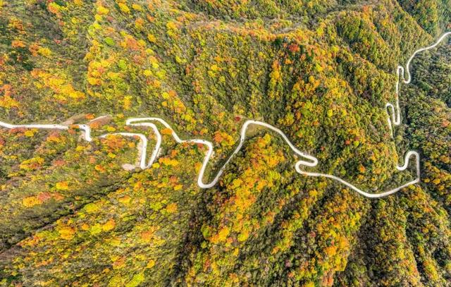 全国十佳！汉中这条公路太火了！