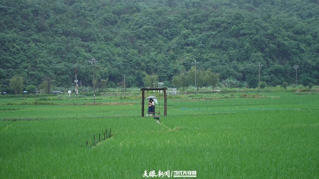 沿着公路找“彩蛋”③｜从路过到停下，这里是皮林村