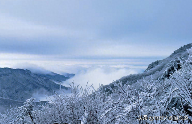 杭州一“雪景点”爆火，其景真如童话世界，路上三蹦子都用上了！