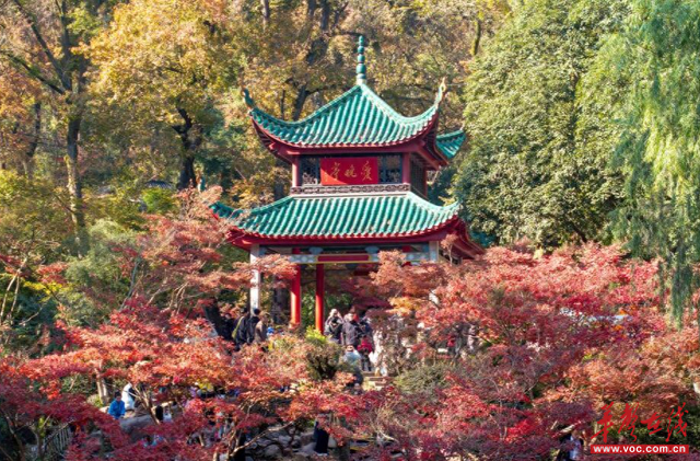 跟着“湘超”去旅行！这条周末游线路，解锁长沙冬日浪漫