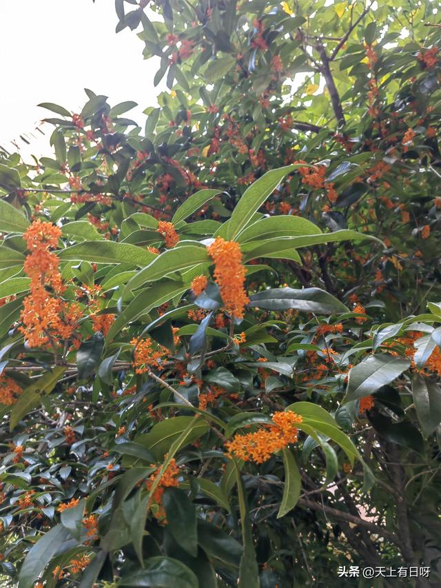 一切能让你开心的事，都勇敢去做