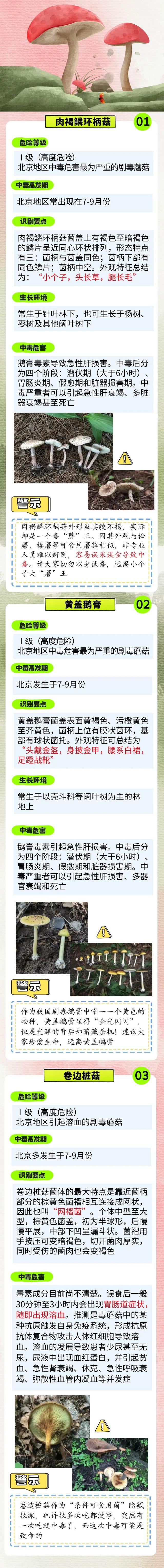 雨后大量出现！可致人中毒！北京疾控提醒