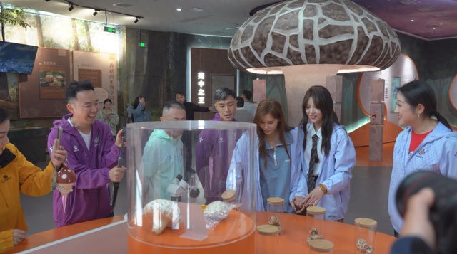 明星为随县打call！香菇采摘、乡村漫游、金顶落日 解锁秋日限定美好