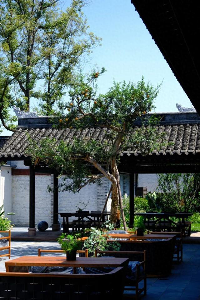 快收藏！青白江最新酒店民宿合集来咯~