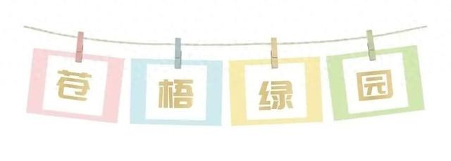 “Mei，我在连云港想开了！”