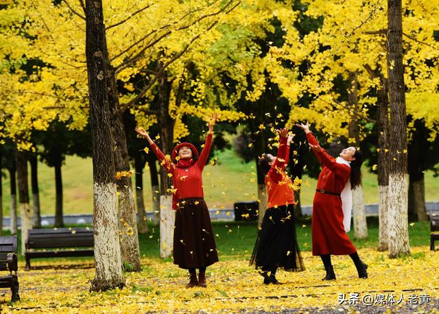 凉都六盘水银杏红叶点亮城市“金色童话”之约