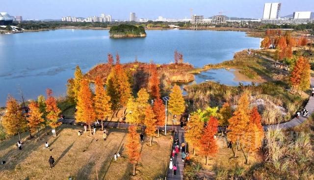 柳州，彩色刷屏！大反转也要来了！