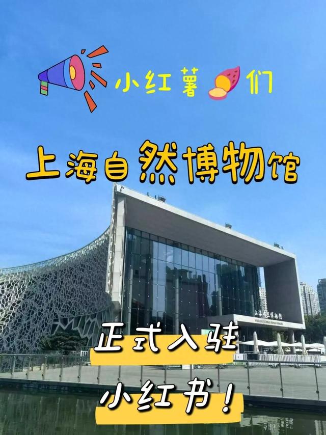 从寒武纪到小红书，我终于出道了！
