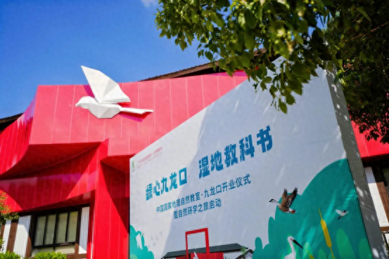 盐城建湖：推开自然之门，走进湿地教室
