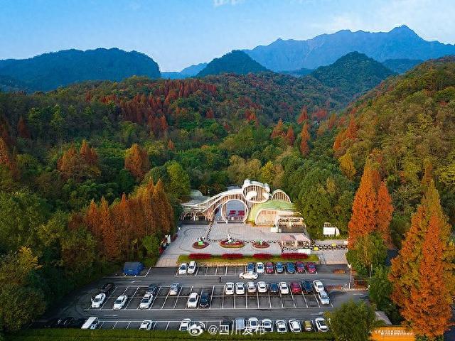 全球首条“熊猫航线”在蓉成功试飞，川渝低空文旅走廊正式启航