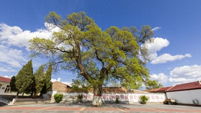 上联:岁岁风调雨顺	。请赐下联