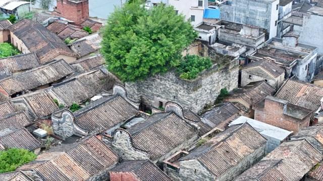 探秘温贯炮楼：深藏于高要乡间的古代军事堡垒