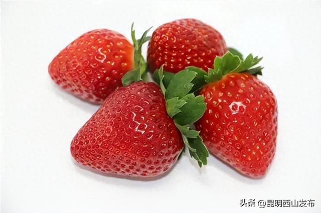 西华草莓熟了，赶紧来采摘吧！