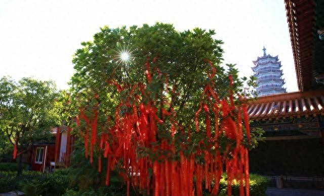 你的孩子是有福之人，自带贵气：不焦虑，静待他发光！