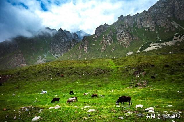 新疆目前单体投资最大公路来了！线路长394公里，投资近1000亿元