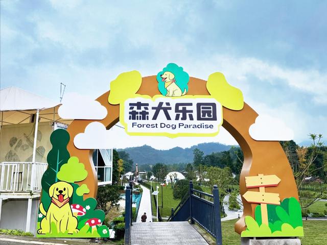 汪汪队集合！西岭宿集森犬乐园开营啦