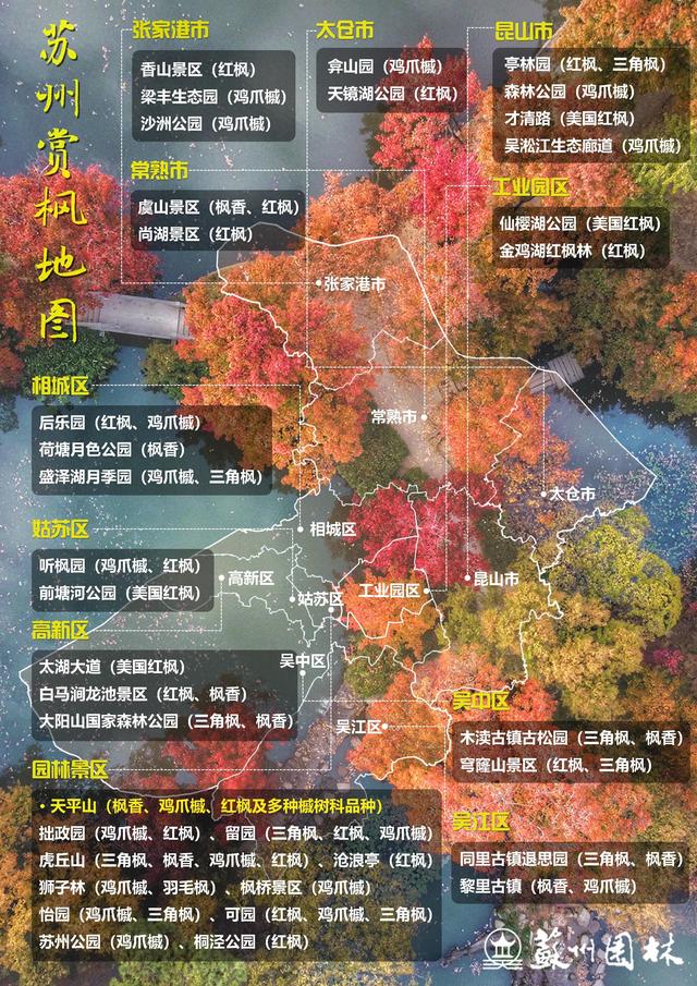 官宣！天平山红枫进入观赏期