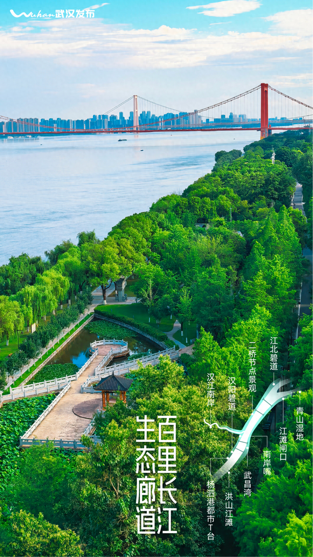 廊连四岸绿满两江，武汉绝美巨作上新！