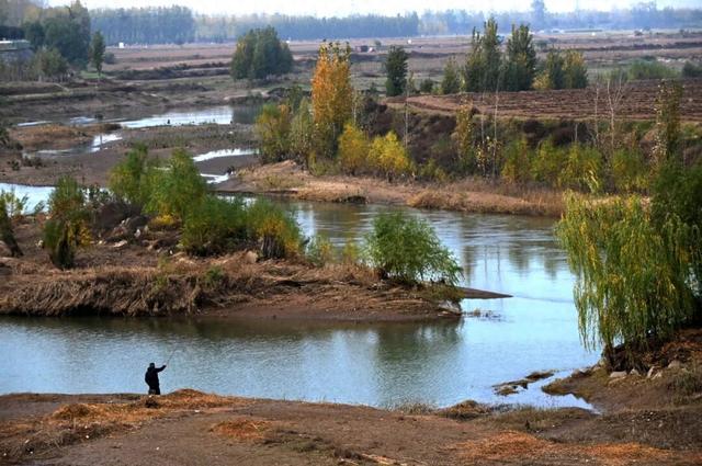 限定初冬美景！就在河南沁阳→