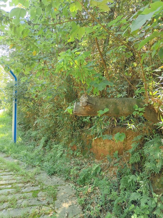苏州城边缘的幽静山野，览尽宽阔天地间的无限风光！