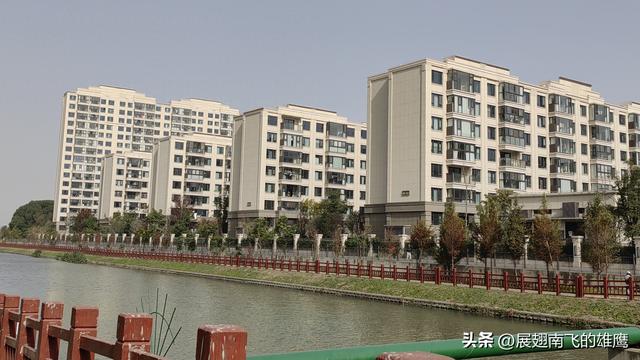 《美丽的泥家浜河畔悠然时光》