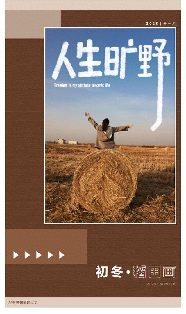 东营市区出发半小时直达，离你最近的“瑞士卷”竟然藏在稻田画！