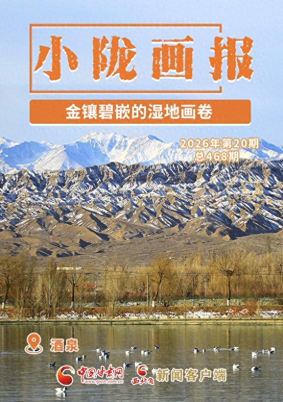 【小陇画报·468期】酒泉：金镶碧嵌的湿地画卷