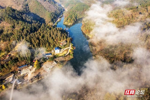 【每日一图@湖南】打卡靖州冬日C位！“杨梅之乡”藏着生态活画卷