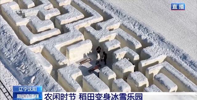 稻田变身冰雪乐园 多种趣味玩法邀你驰骋雪场