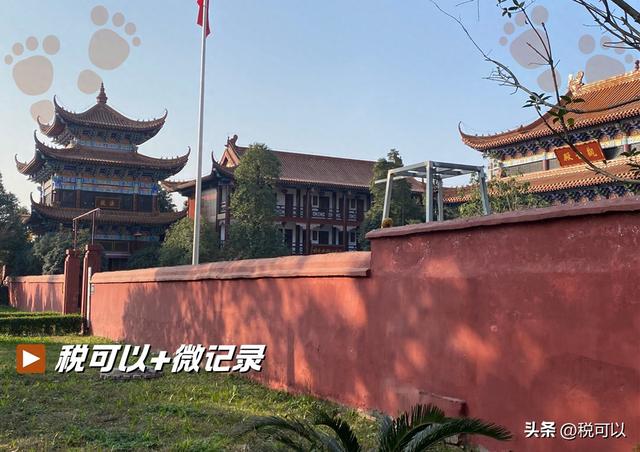成都近慈寺：被时光淹没的一段传奇！