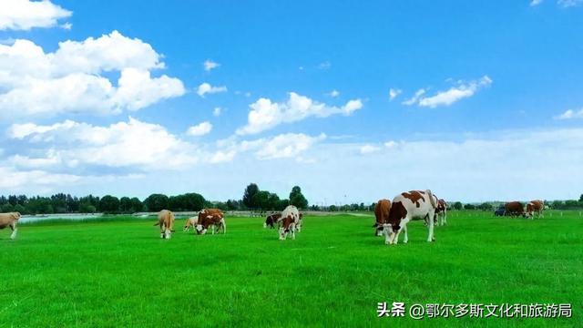 草原文化的魅力在这里延伸