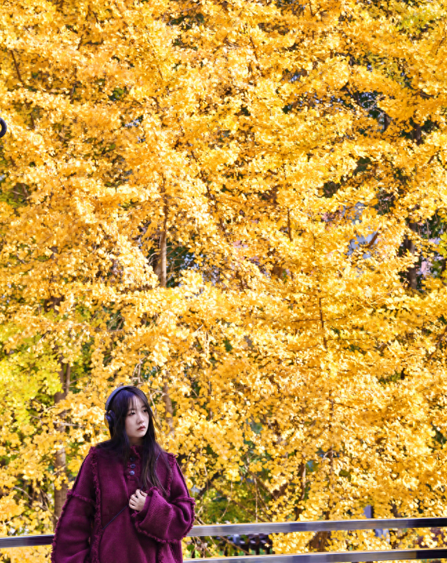 出站即是大片！上海秋日最美地铁站已上线→