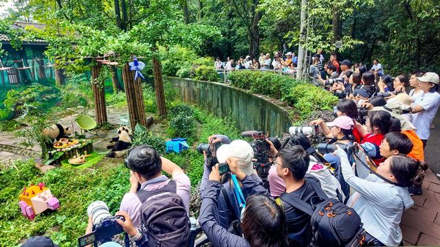 市州观察丨突出优势并链成片，雅安“1+5”文旅目的地矩阵这样建