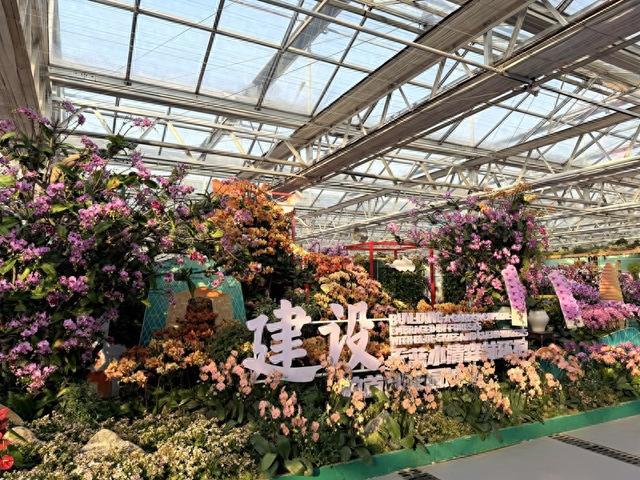 2026北京兰花文化嘉年华开幕 4万盆精品兰花带游客“冬季入春”