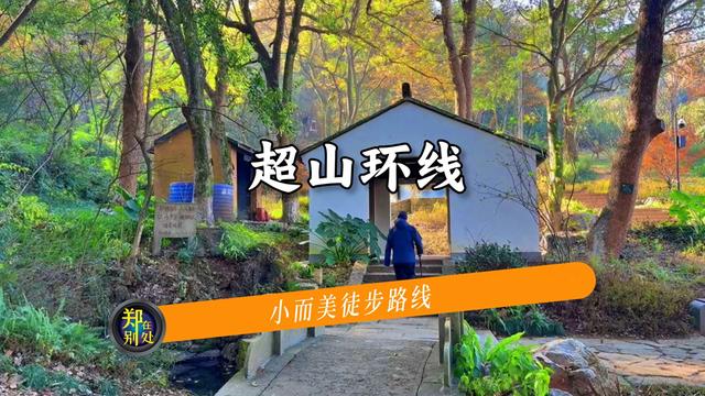 杭州小而美徒步路线：斑斓而沉默的超山，人少景美
