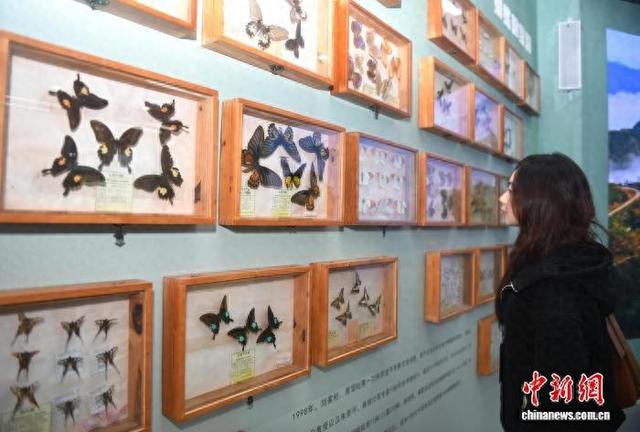 云南金平擦亮两张名片 今年前10月游客逾280万人次