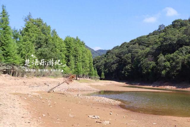 绍兴上虞发现了一处水杉林，面积不大但是清幽而美丽，适合周末游