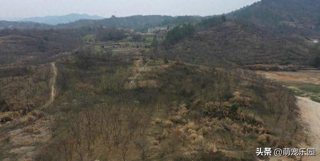 大别山现奇妙格局，内外层次分明，前方山峰成天然点缀