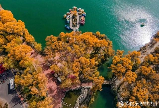 走进美丽新疆丨从金湖杨到金草滩，喀什用诚意迎接每一位游客