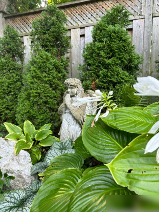 阴花不能进阳宅，家里若有这5种花，请赶紧“搬出去”！