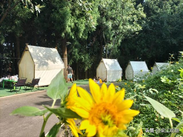 华蓥山旅游区“清凉+暖心”引客来数万游客乐享22℃盛夏