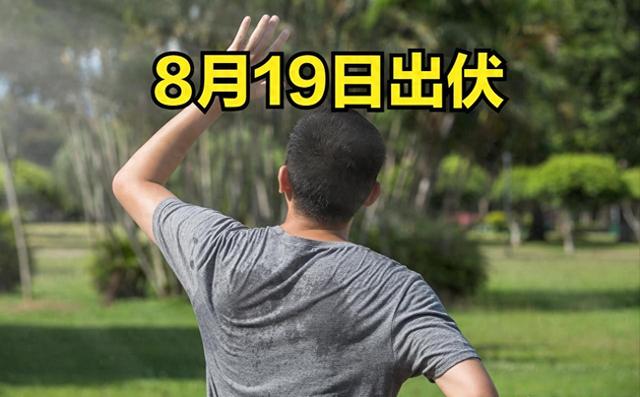 8月19日出伏，有1个好消息，1个坏消息，2个要注意，早点了解