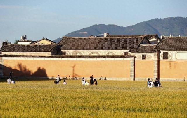 大理喜洲游人如织成旅游热点