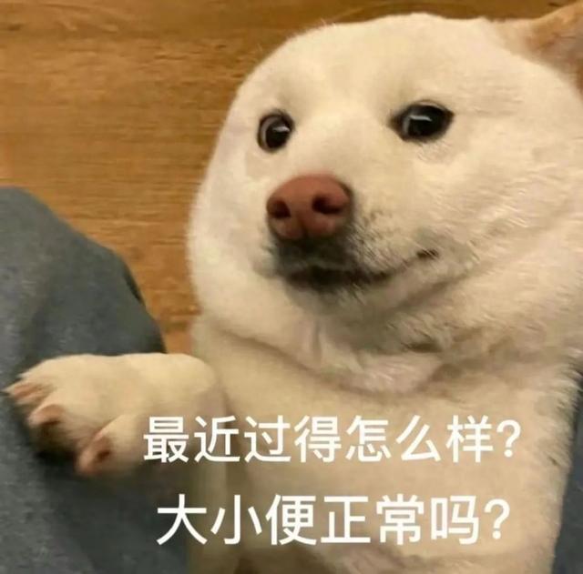 为什么一出门旅游就拉不出屎？