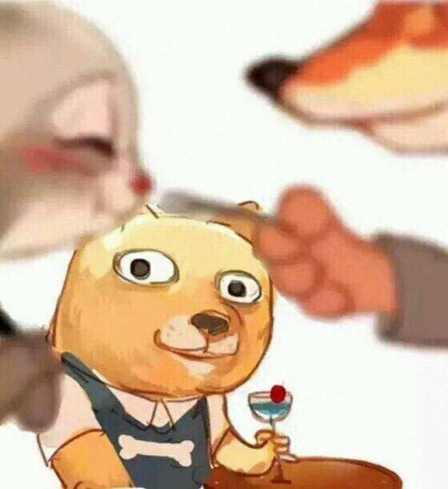 没有情人的情人节说说有哪些（没有情人的情人节）